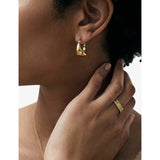 Astley Clarke Aurora U-Hoop 18ct gold plated hoop earrings 2cm, imported from the UK