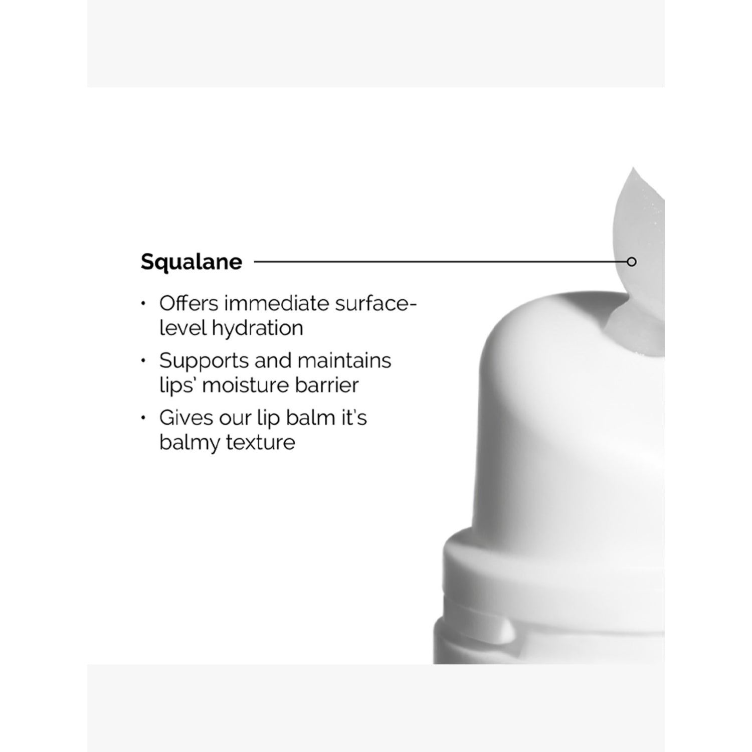 The Ordinary squalane amino acids lip balm 15ml - British product