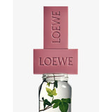 Loewe scented soap bars ivy 2 x 125g - British product