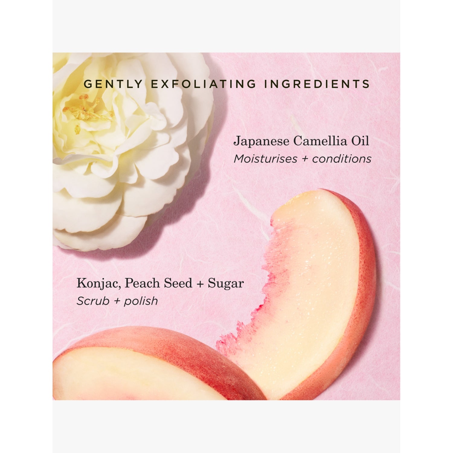Tatcha The Kissu lip scrub 12g - British product