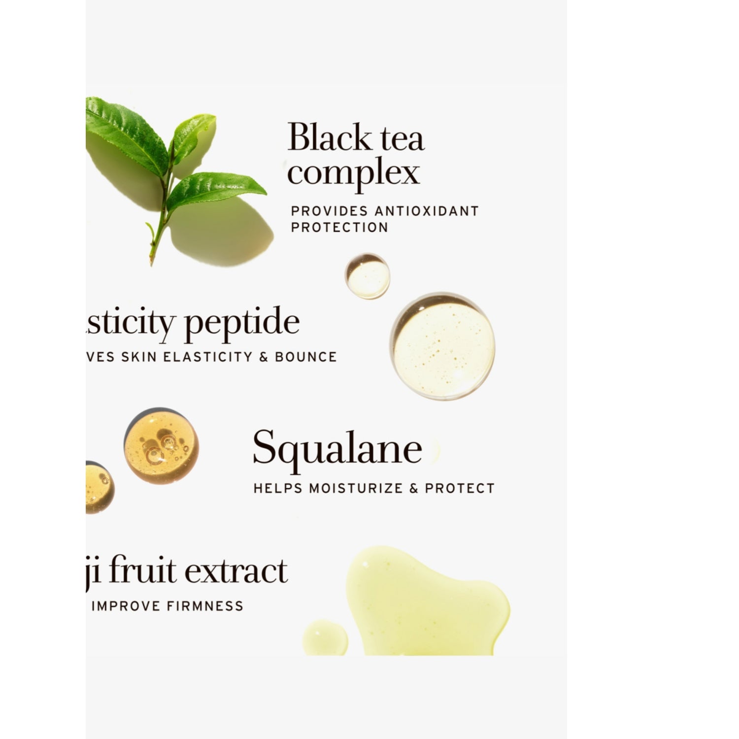 Fresh Black Tea Corset Cream firming face cream 50ml, imported from the UK
