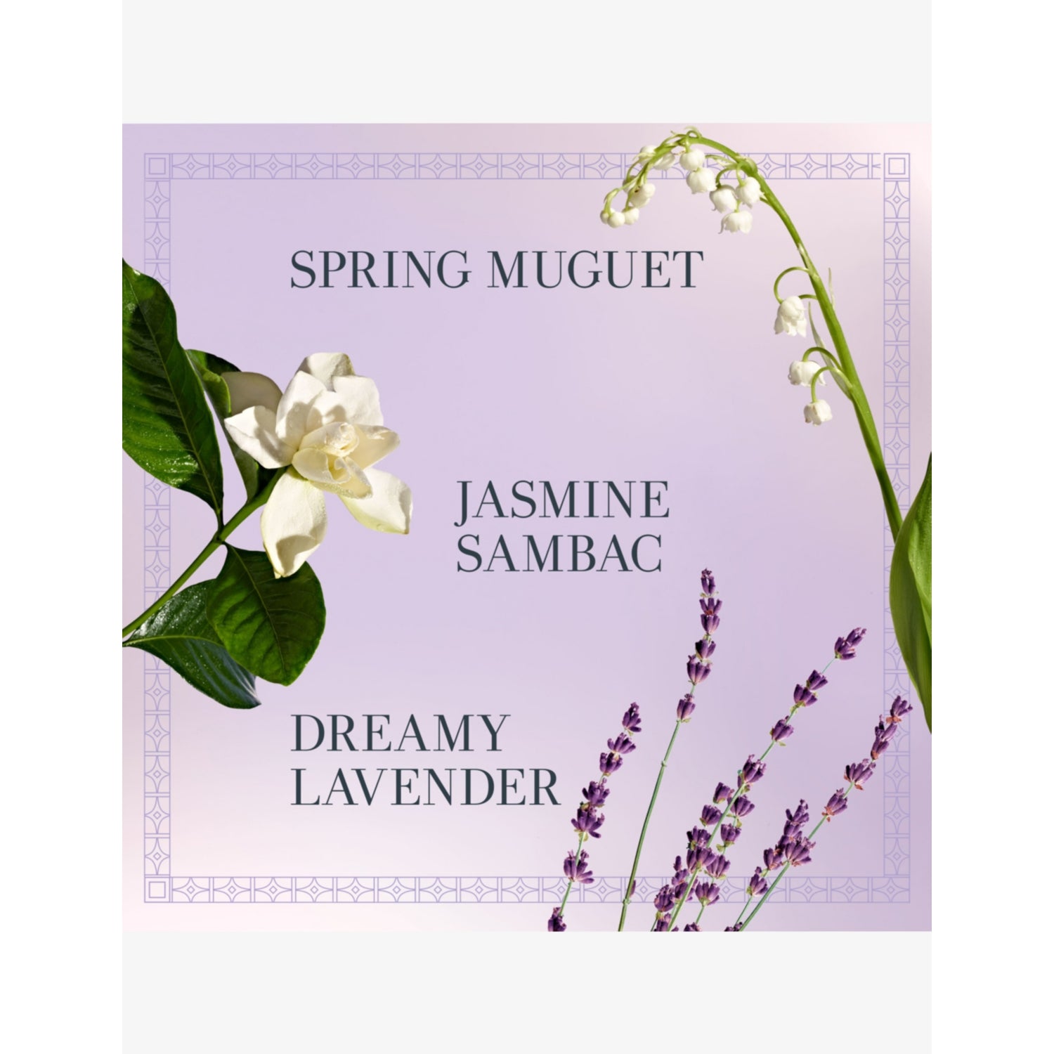 Eau de parfum Lily Jasmine floral fragrance, UK version