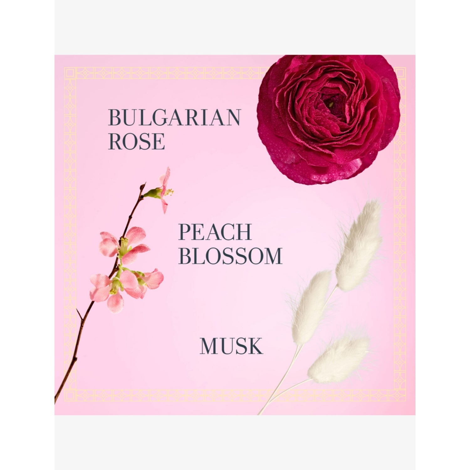 Rose Morning eau de parfum floral fragrance, imported from the UK