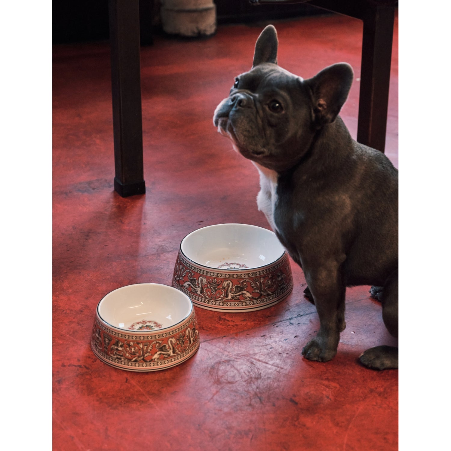 Wedgwood bone china pet bowl Florentine motif 21cm, imported from the UK