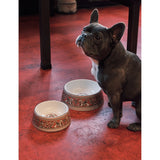Wedgwood bone china pet bowl Florentine motif 21cm, imported from the UK