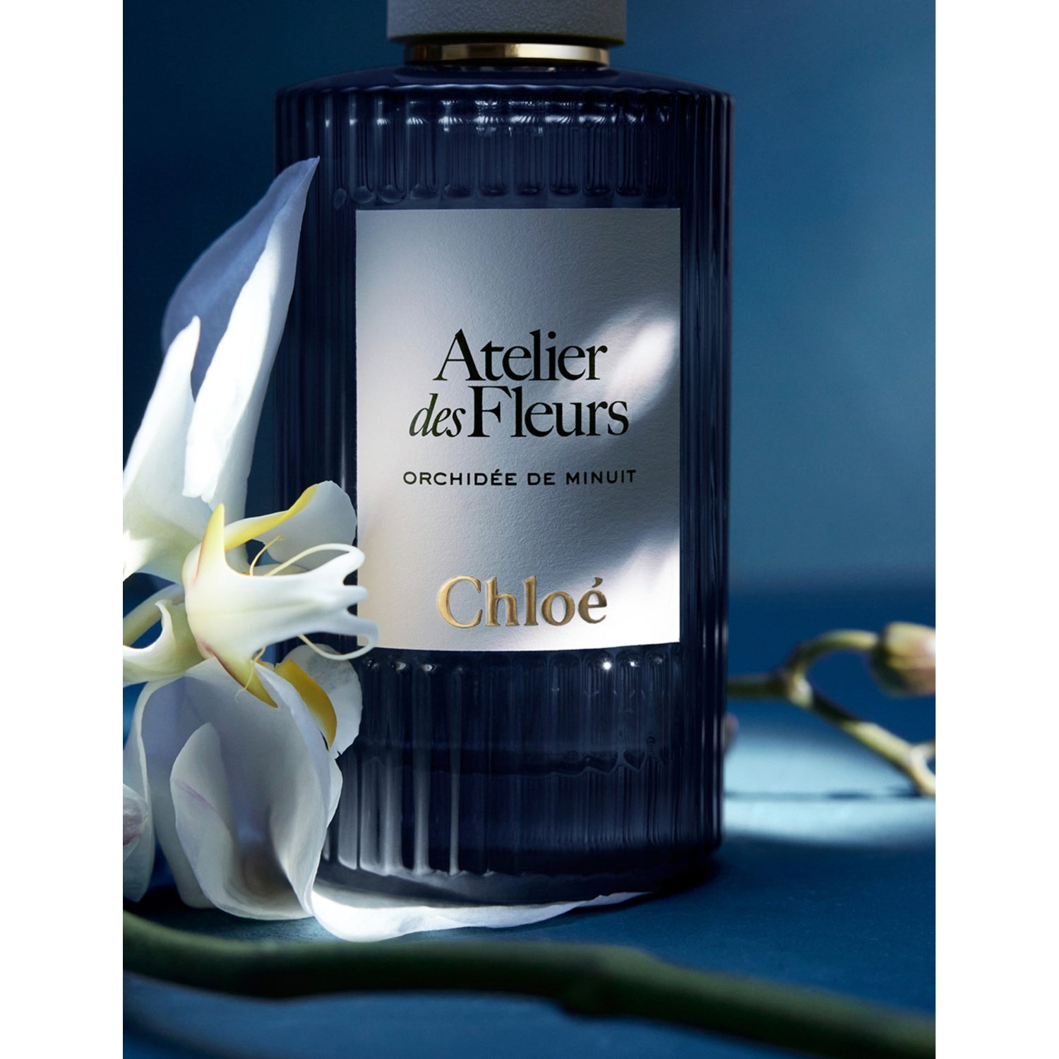 Chloé Orchidée de Minuit eau de parfum 150ml (British brand)