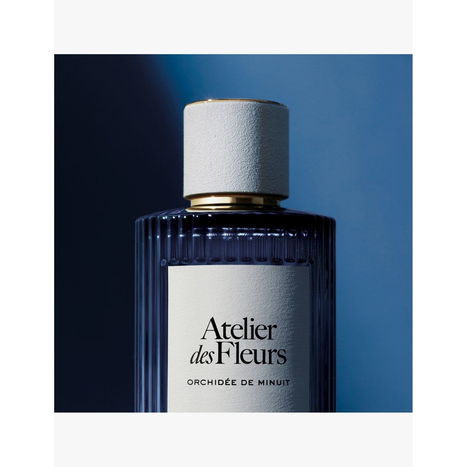 Chloé Orchidée de Minuit eau de parfum 50ml (British brand)