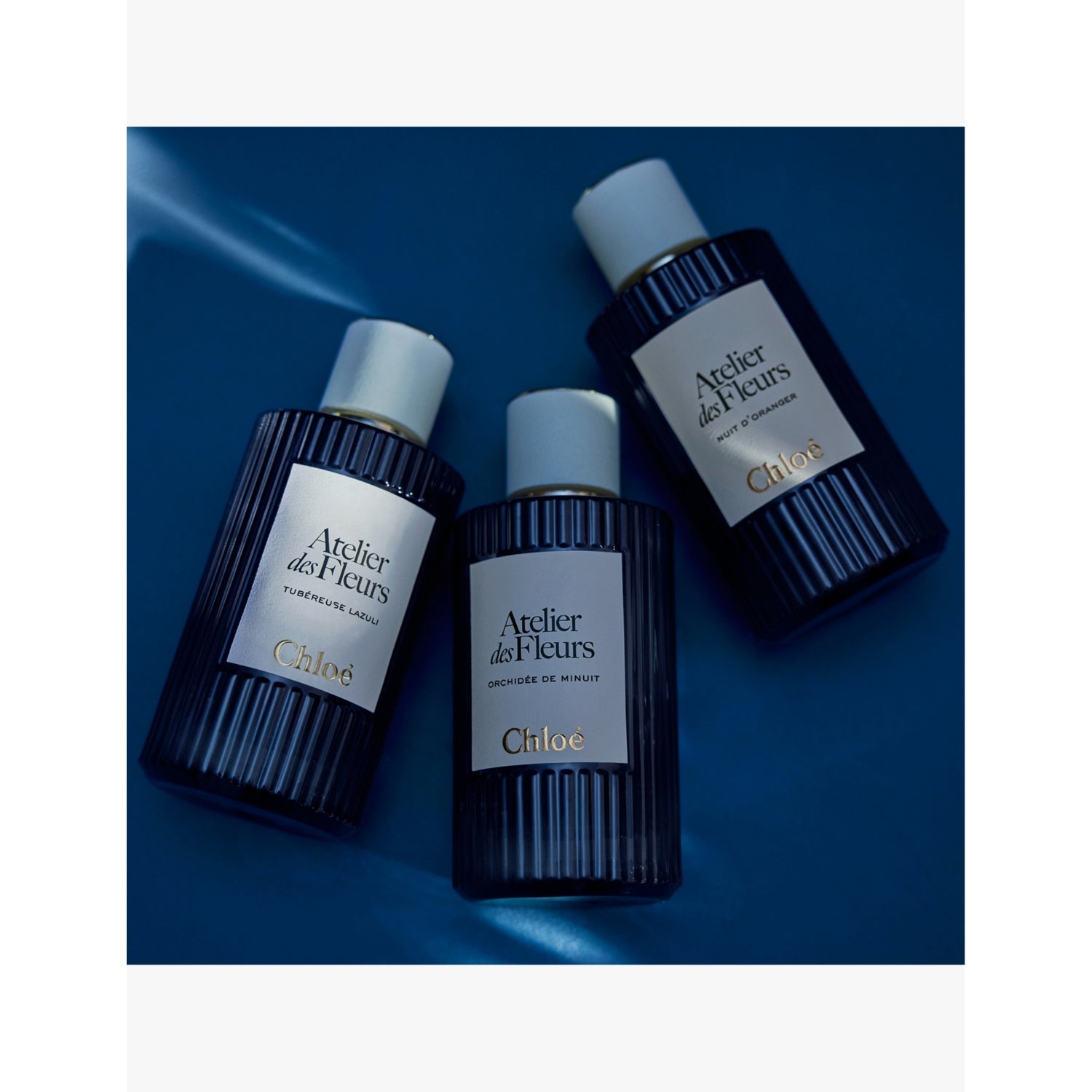 Chloé Orchidée de Minuit eau de parfum 50ml (British brand)