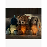 Steiff Caspar teddy bear 28cm with light-up feature (British brand)
