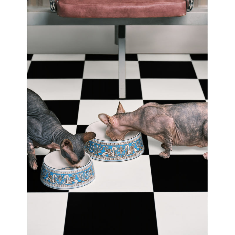 Wedgwood bone china pet bowl Florentine motif 17cm (British brand)