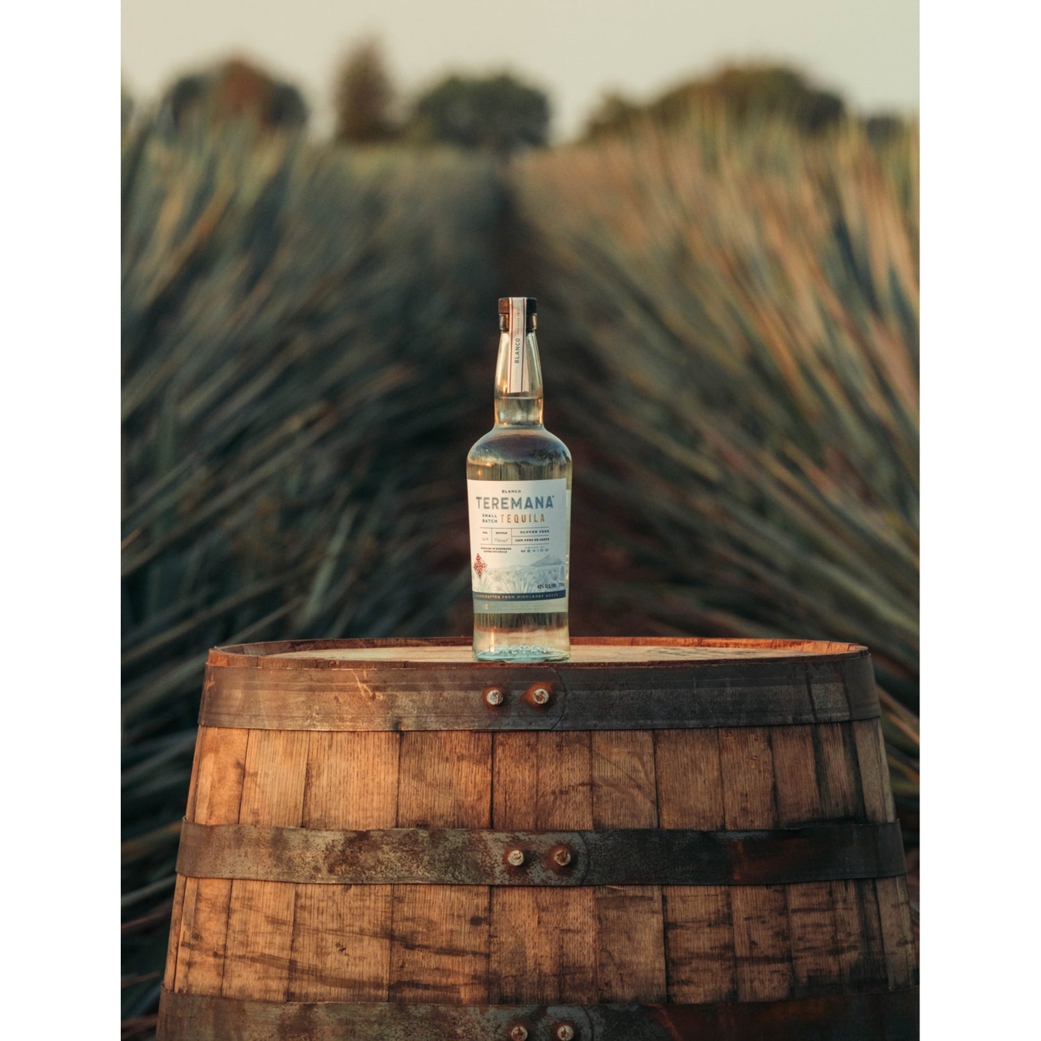 Teremana blanco tequila 700ml bottle from Mexico, UK version