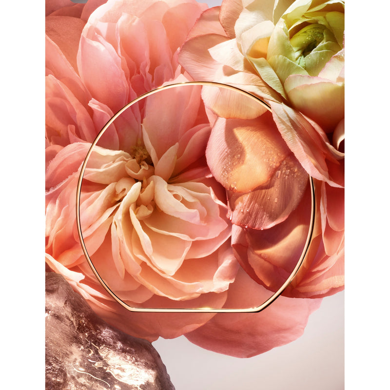 Lancome Absolue 1001 Roses eau de parfum 100ml, UK version