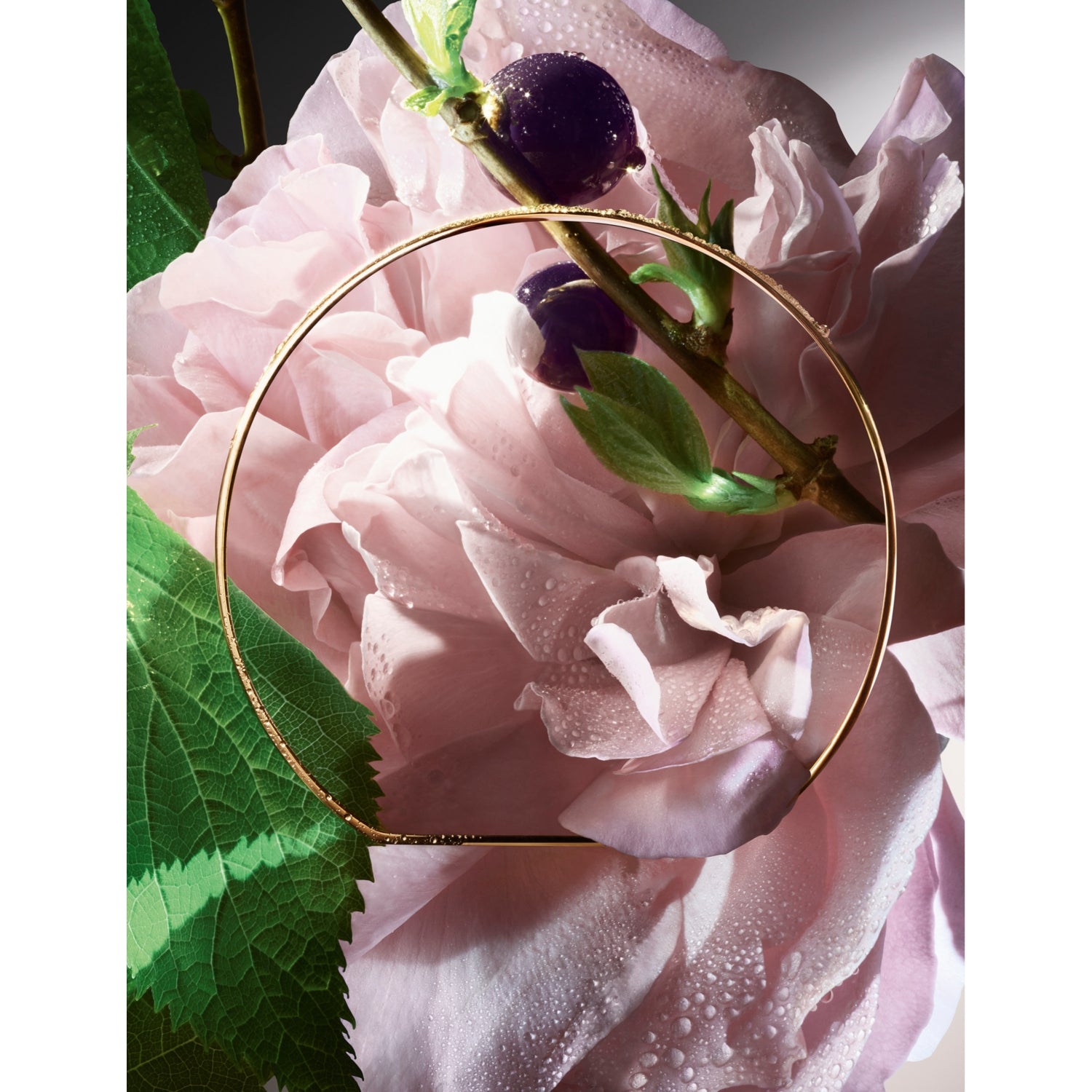 Lancome Absolue Storm and Roses eau de parfum 100ml (British brand)