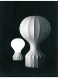 Flos Gatto Piccolo table lamp 30cm, imported from the UK