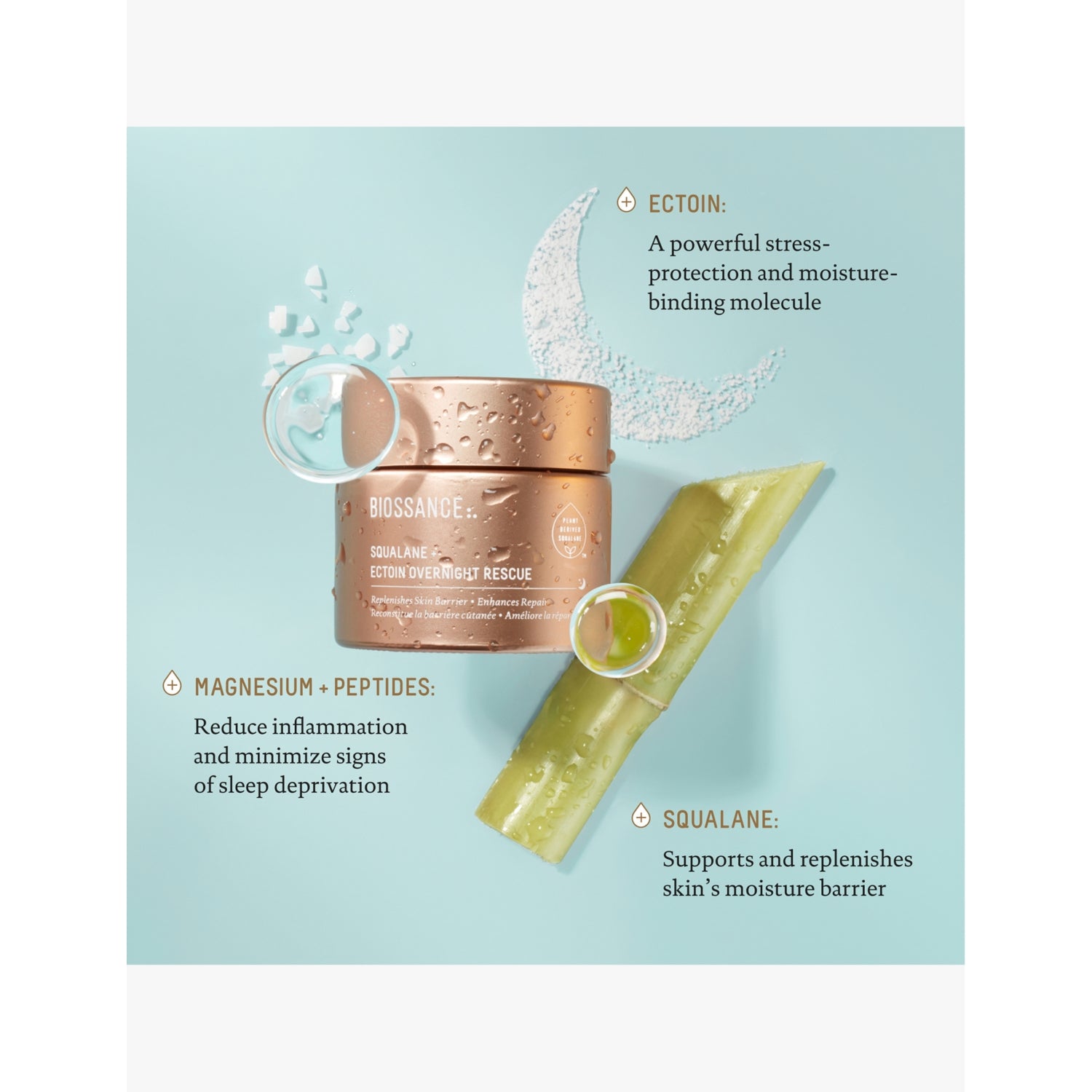 Biossance Squalane and Ectoin overnight rescue cream 50ml, UK version