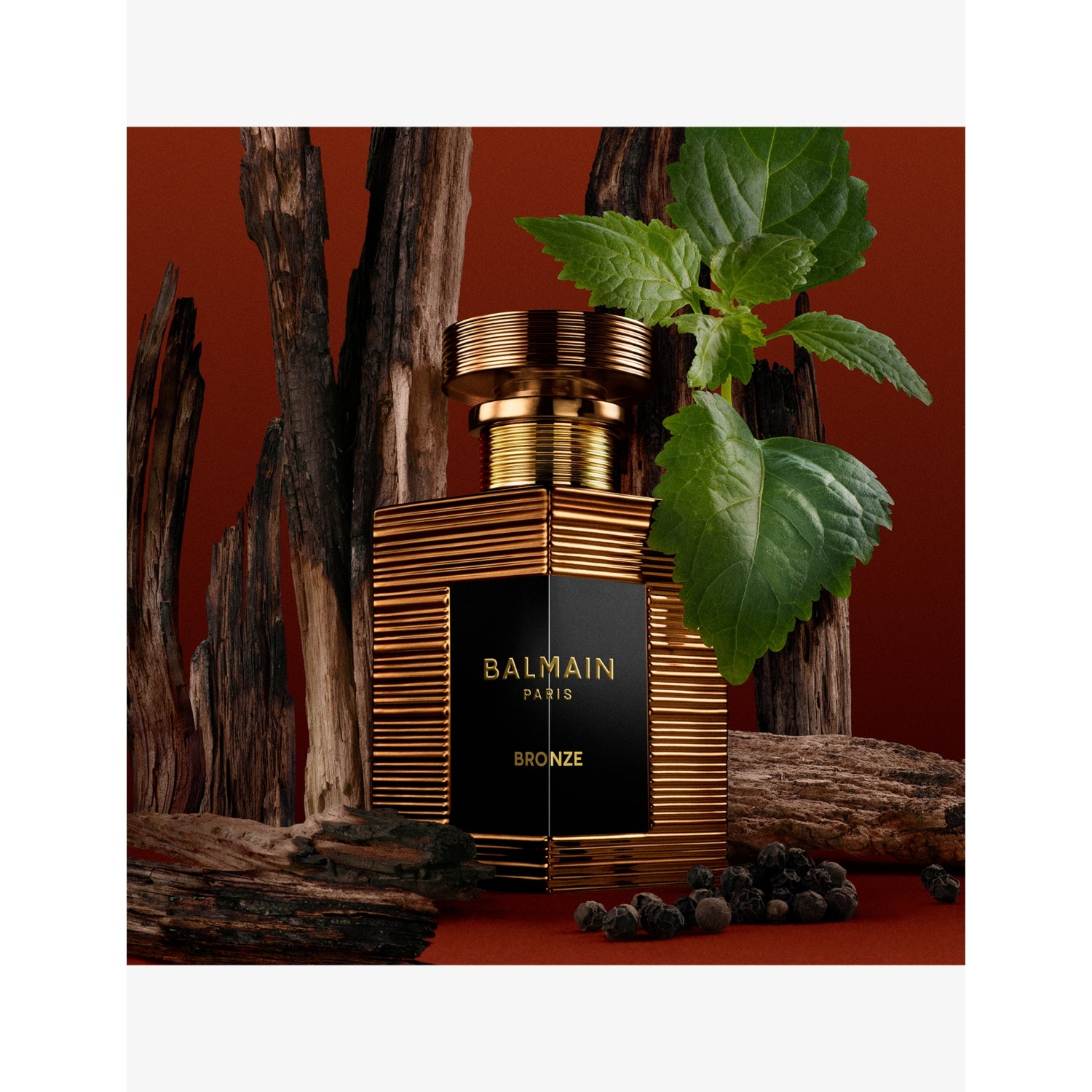 Balmain Beauty Bronze eau de parfum 50ml, UK version