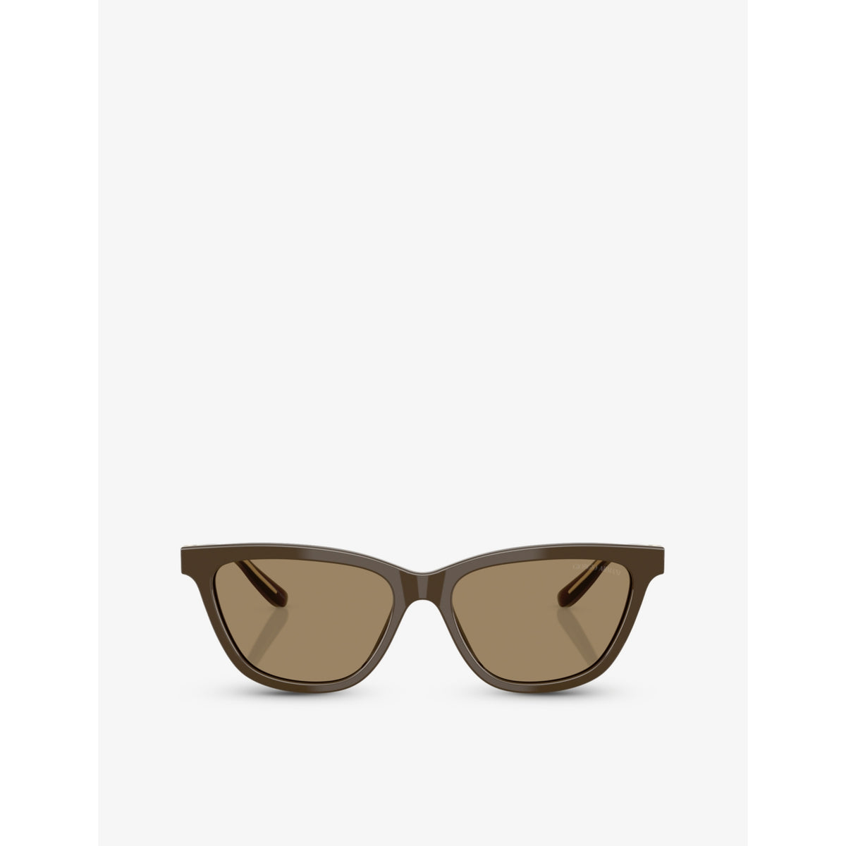 Giorgio Armani AR8221 Cat-Eye Acetate Sunglasses