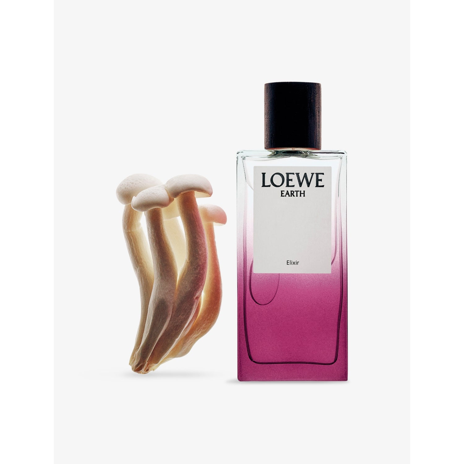 Loewe Earth Elixir eau de parfum 100ml - British product