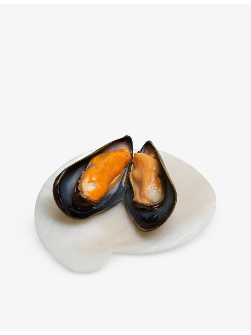 Gohar World mother-of-pearl nautilus shell dish 10cm x 11.4cm (British brand)