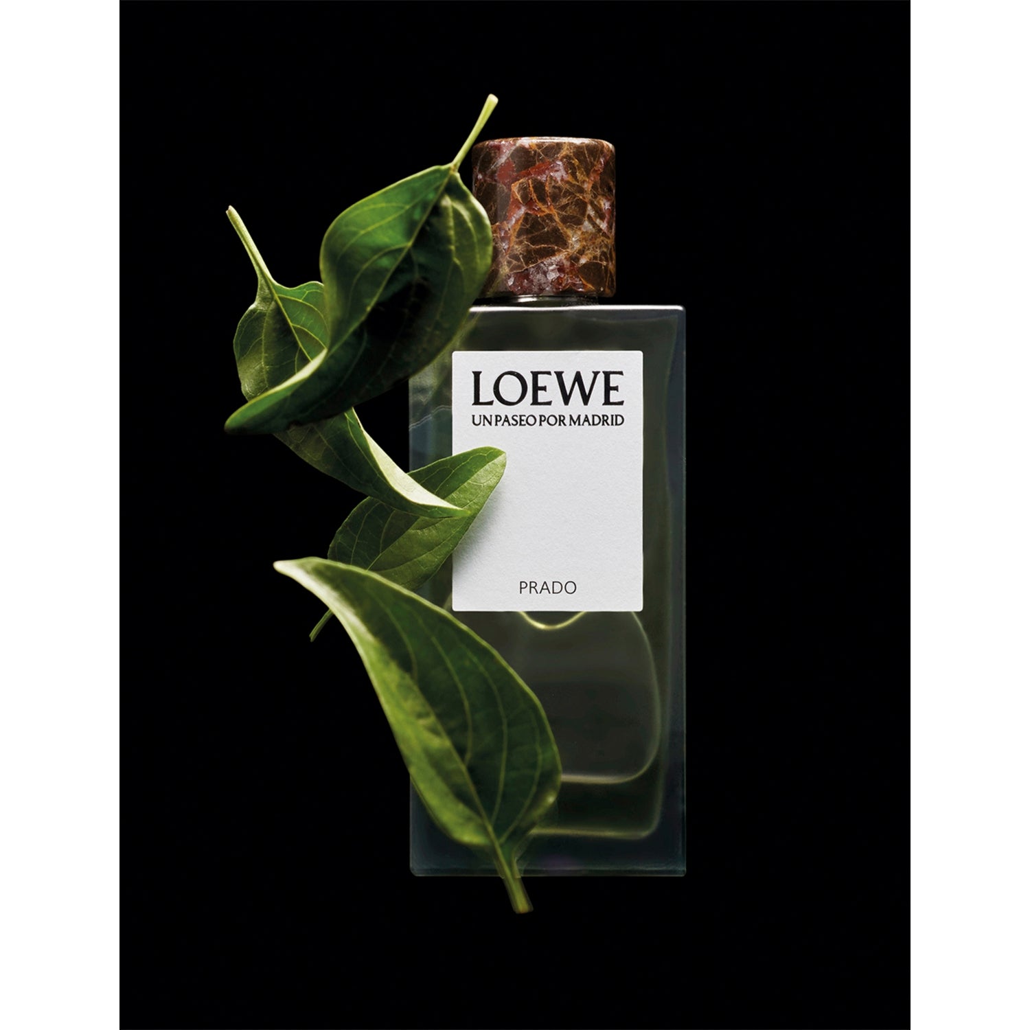 Loewe Un Paseo Prado eau de parfum 150ml (British brand)