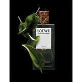 Loewe Un Paseo Prado eau de parfum 150ml (British brand)