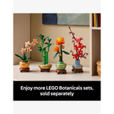 LEGO Botanicals Mini Orchid 10343 building set, 274 pieces (British brand)
