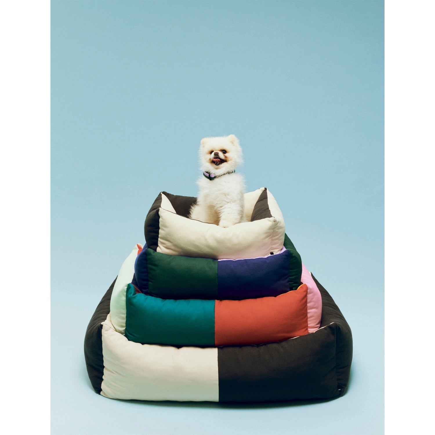 HAY large woven dog bed with colour-block design, imported from the UK