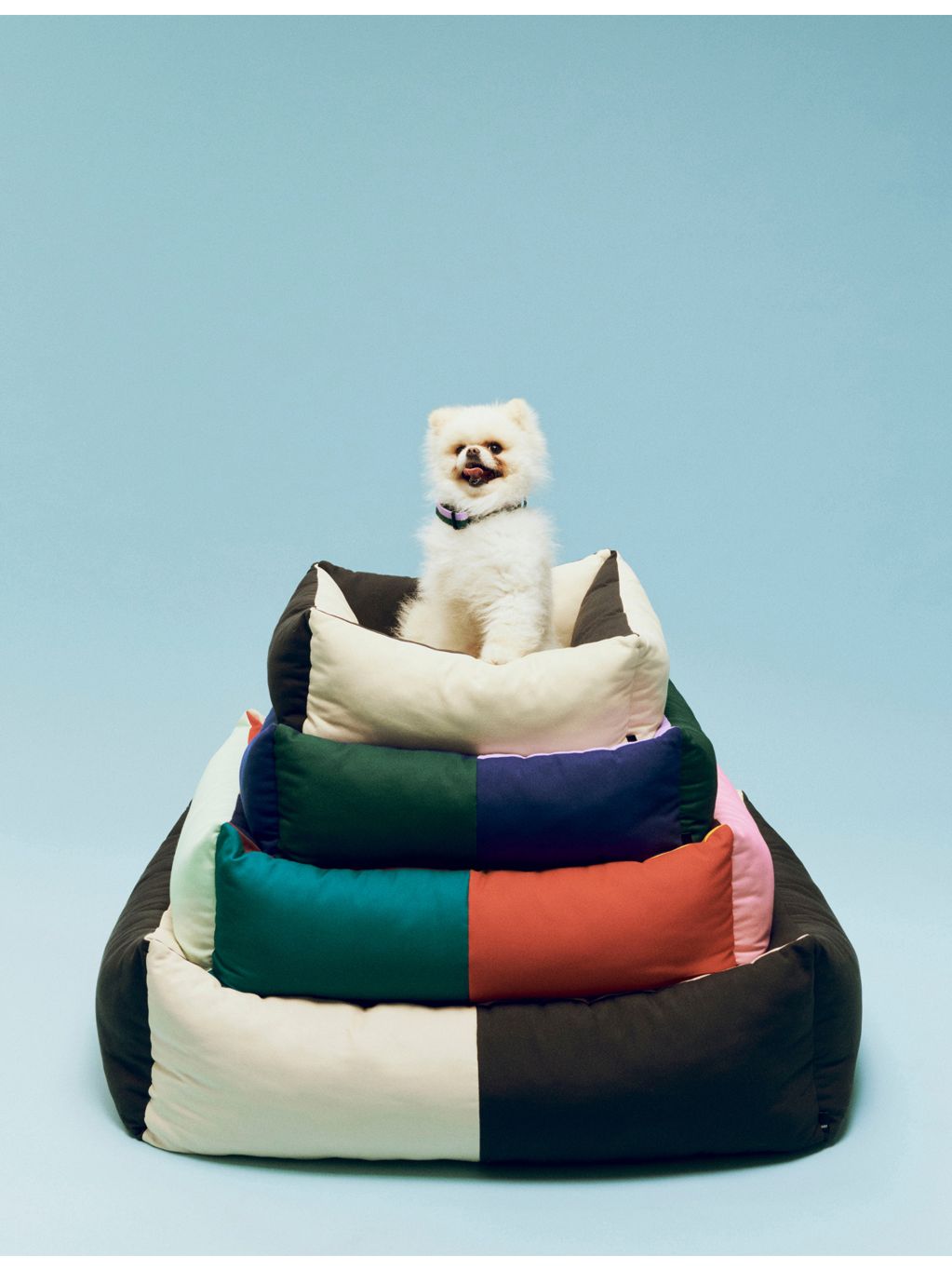 HAY colour-block woven extra-small dog bed (British brand)