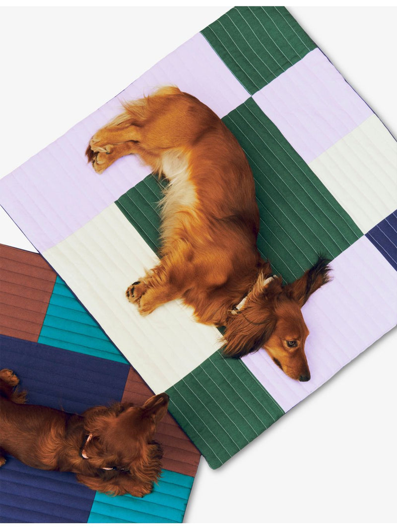 HAY quilted dog travel blanket 80cm x 80cm, UK version
