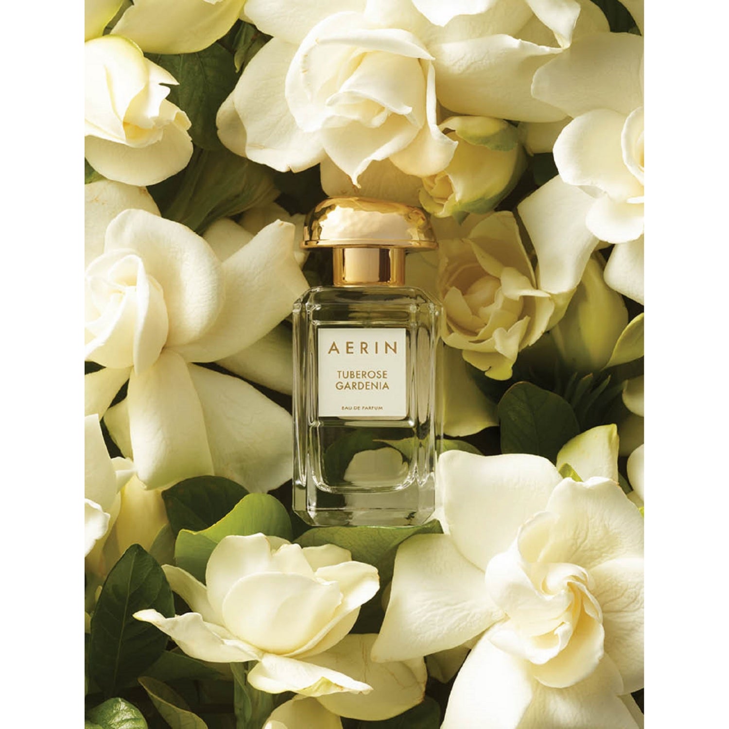 AERIN Tuberose Gardenia eau de parfum 100ml - British product