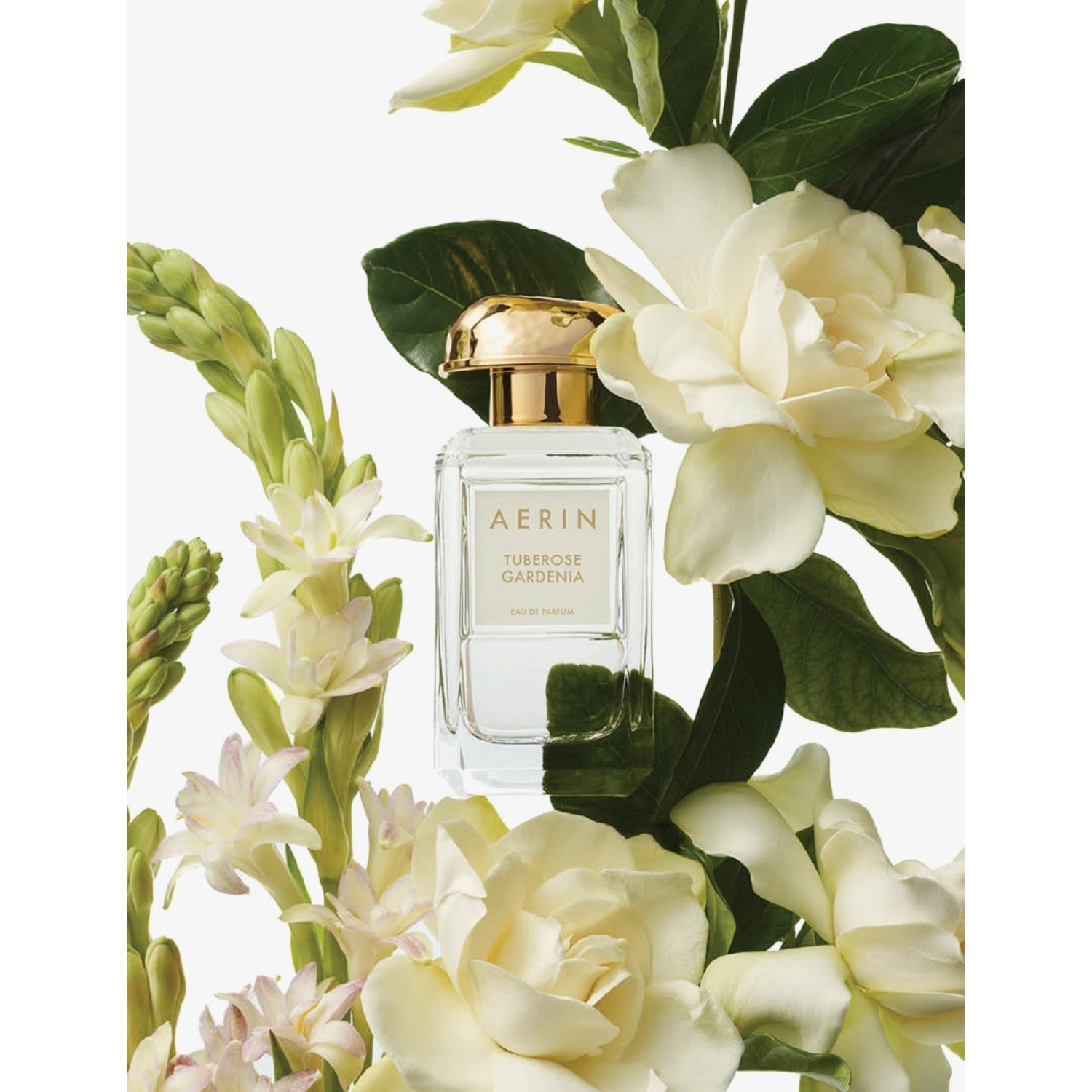 AERIN Tuberose Gardenia eau de parfum 100ml - British product