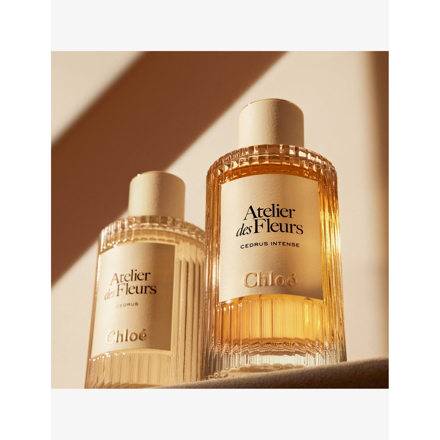 Chloé Cedrus Intense eau de parfum 150ml, UK version