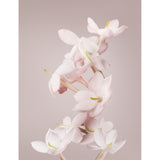 Valentino Valentina eau de parfum 100ml, imported from the UK