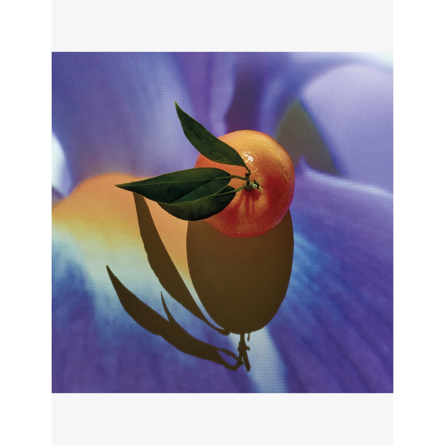 Loewe Solo Elixir eau de parfum 50ml, imported from the UK