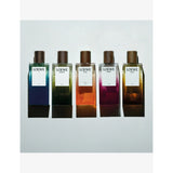Loewe Solo Elixir eau de parfum 50ml, imported from the UK