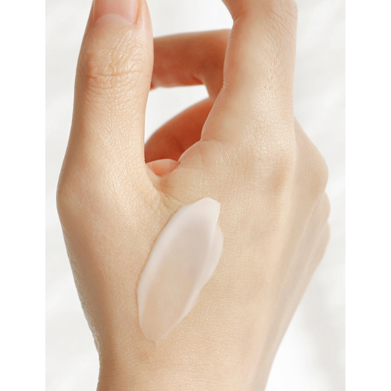 Beauty of Joseon Dynasty Cream 50ml face cream (British brand)