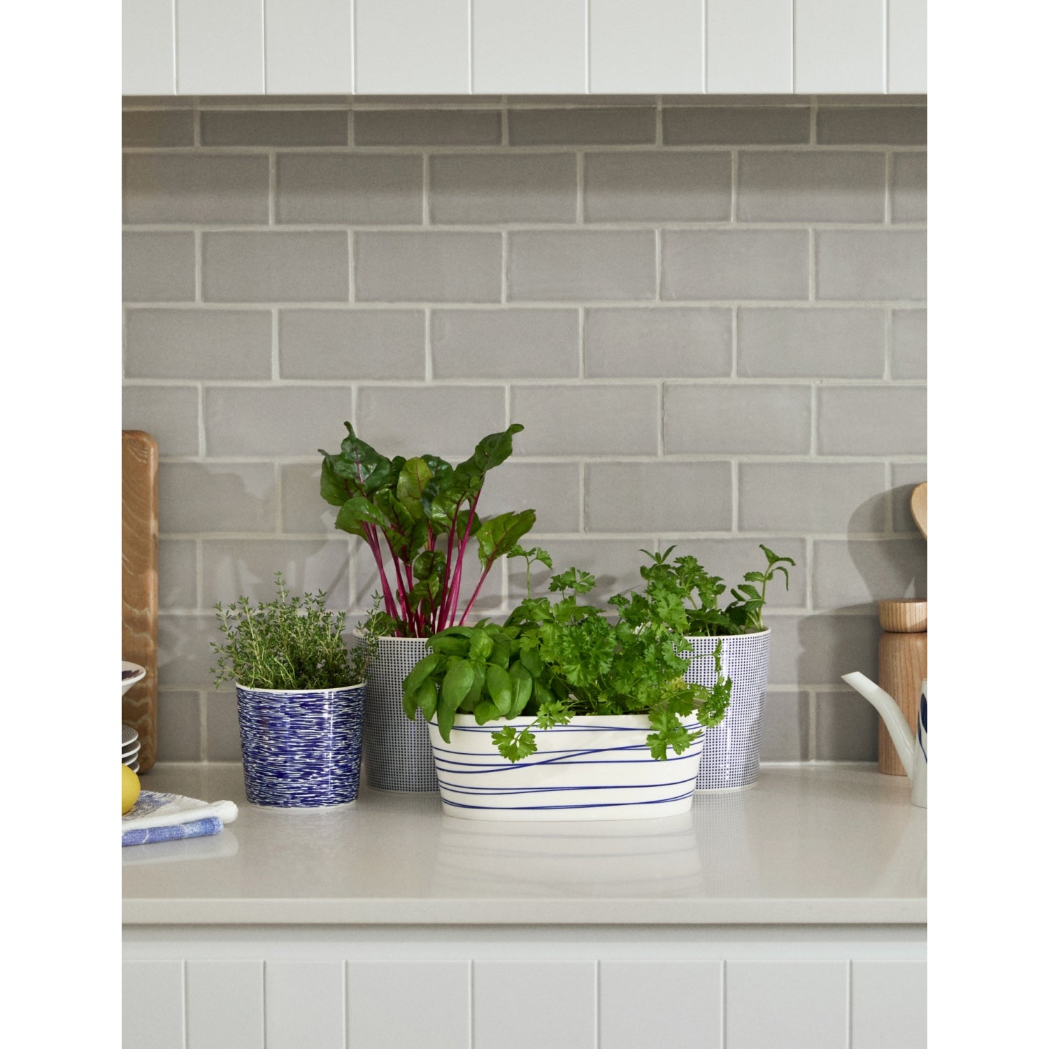 Royal Doulton 1815 Pacific large porcelain planter 15.1cm - British product