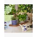 Royal Doulton small porcelain planter 1815 Pacific, imported from the UK