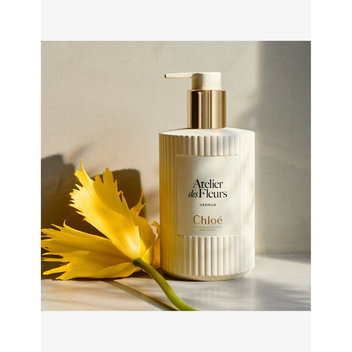 Atelier des Fleurs Cedrus perfumed body lotion 300ml, imported from the UK