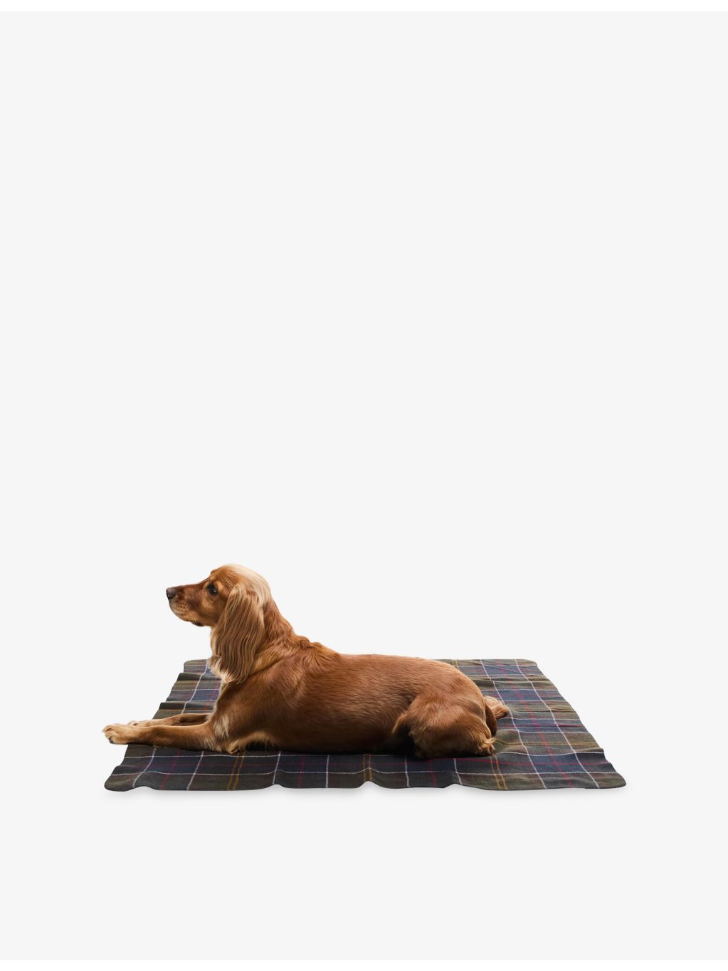 Barbour tartan woven dog blanket 100cm x 120cm, imported from the UK