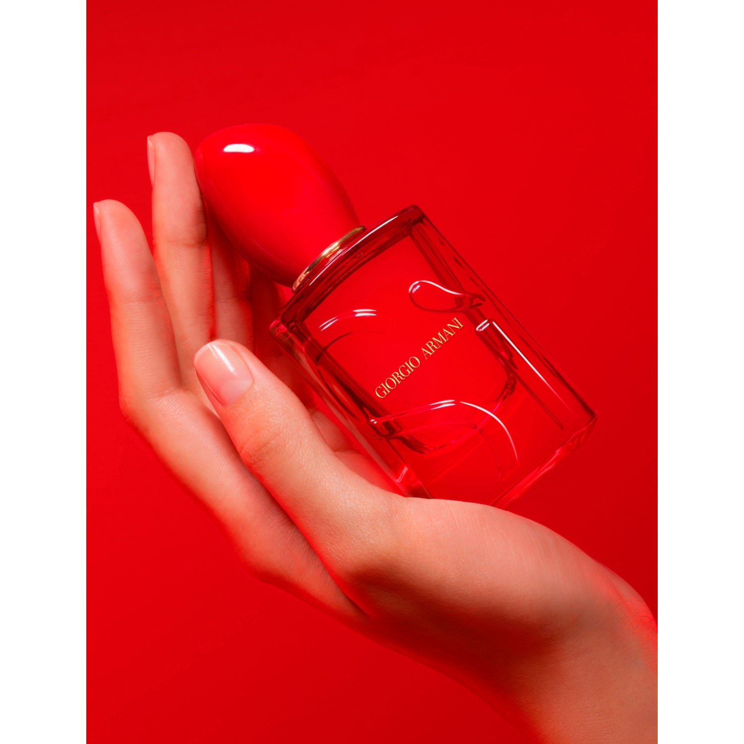 Giorgio Armani Si Passione Red Musk Eau de Parfum 100ml (British brand)