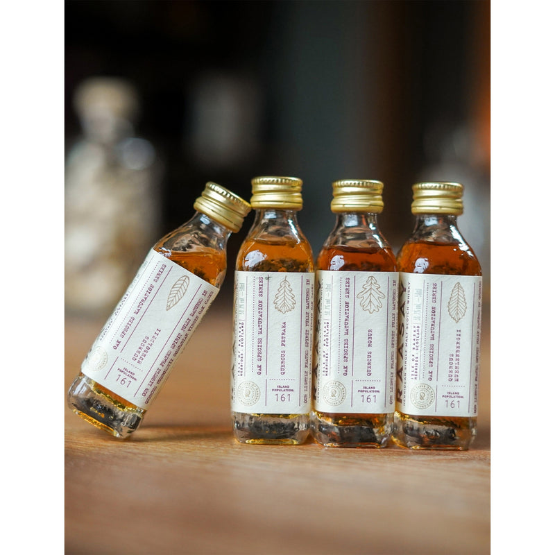 Isle of Raasay Oak Species whisky 4 x 50ml - British product