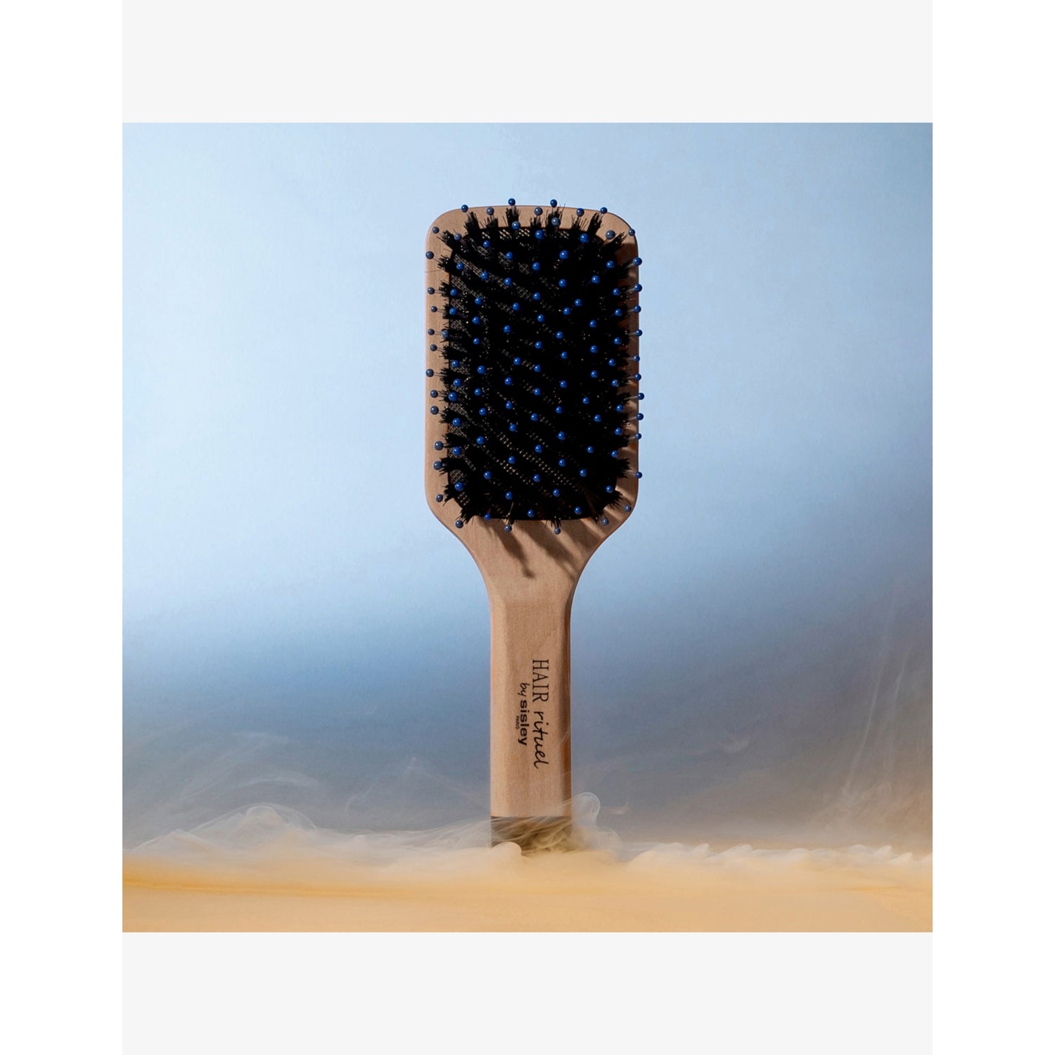 Sisley La Petite Brosse Brillance & Douceur hair brush (British brand)