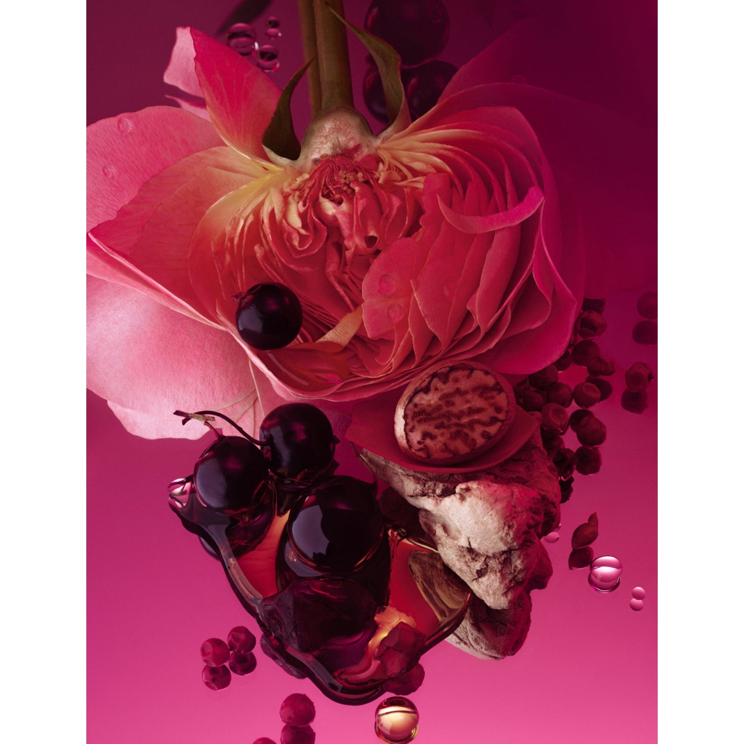 PHLUR Rose Whip Eau de Parfum 50ml - British product