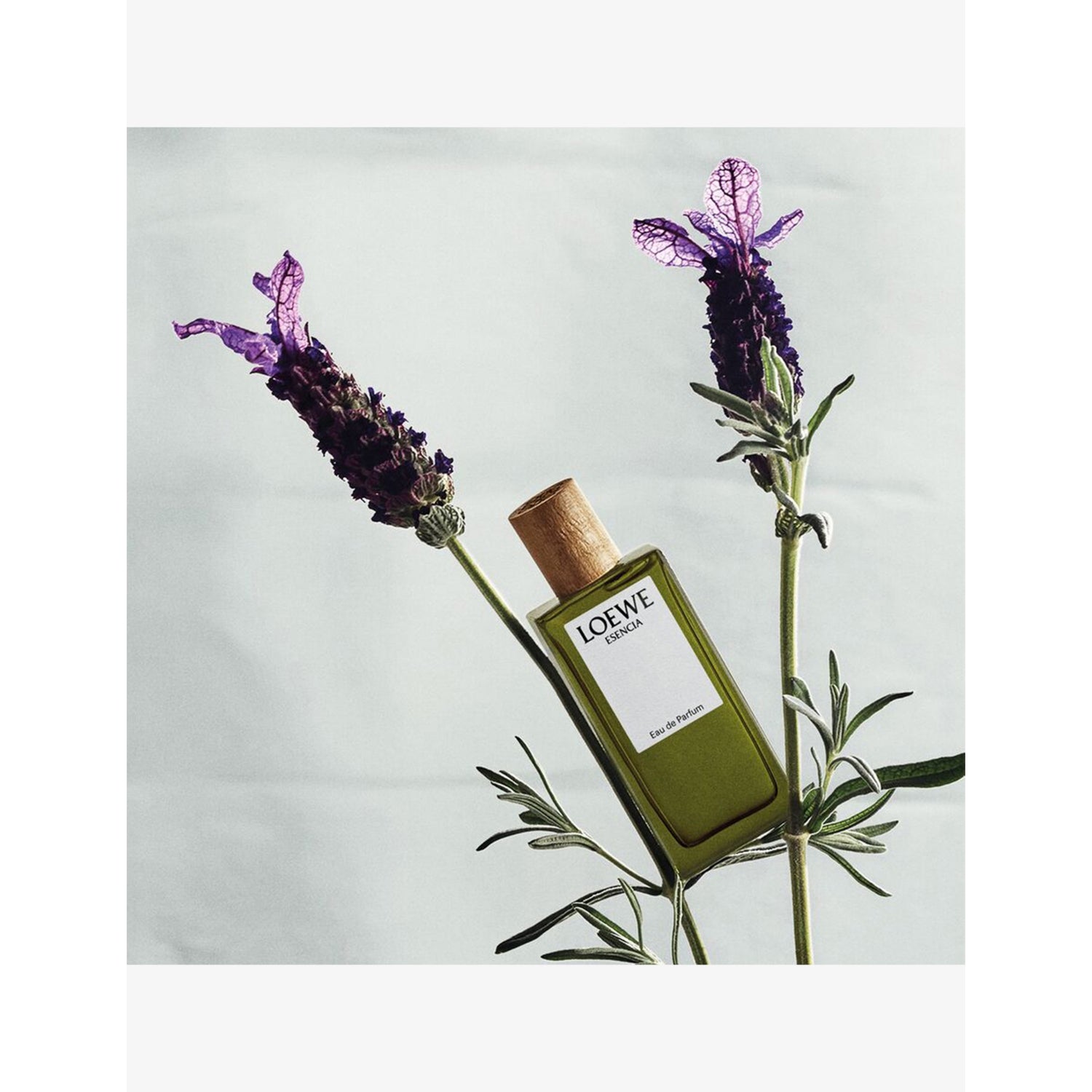 Loewe miniature perfume set with five 7ml sprays, imported from the UK