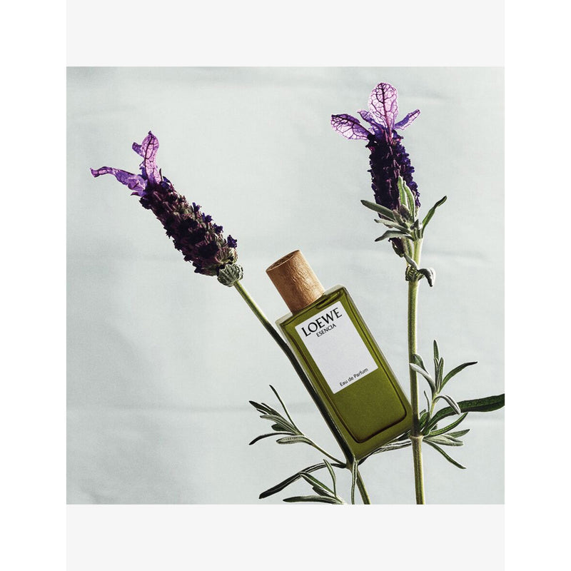 Loewe miniature perfume set with five 7ml sprays, imported from the UK
