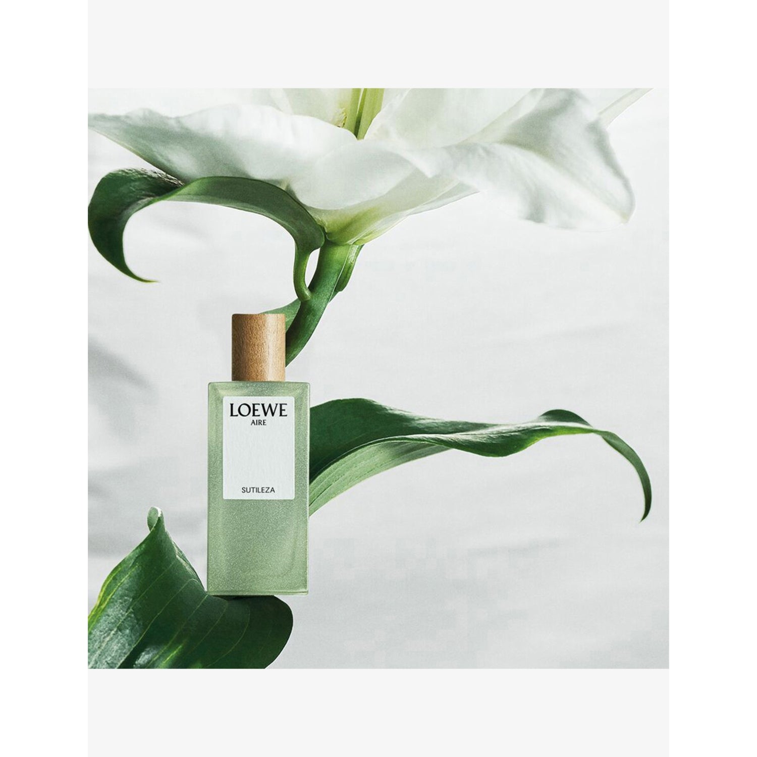 Loewe miniature perfume set with five 7ml sprays, imported from the UK
