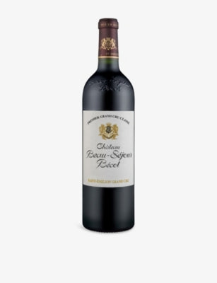 Chateau Beau-Sejour Becot 2019 red wine 750ml - British product