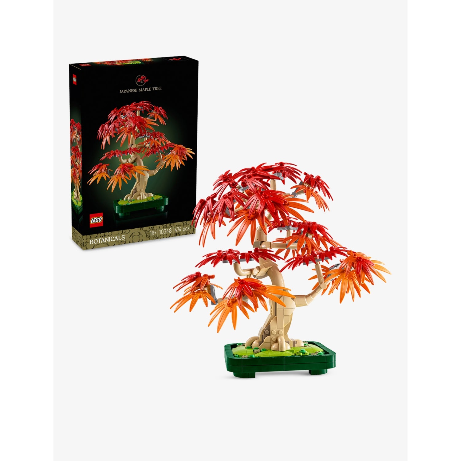 LEGO Botanicals Japanese Red Maple Bonsai Tree building set (British brand)