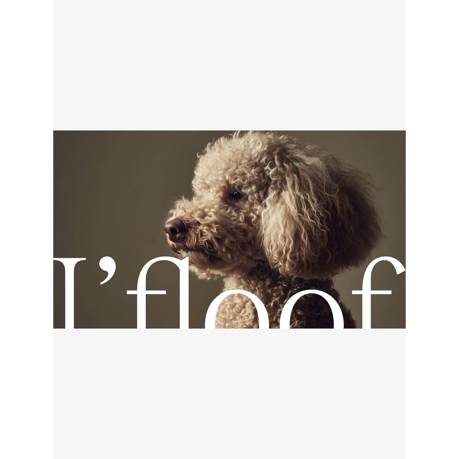 L'Floof Lucky Pup travel grooming kit, imported from the UK